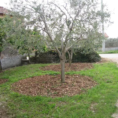With A Parking Space Galizana, Fazana - 11712 Galižana
